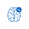 brain